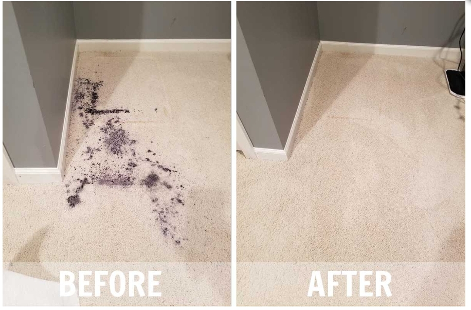 Carpet Stain Removal in Sherborne