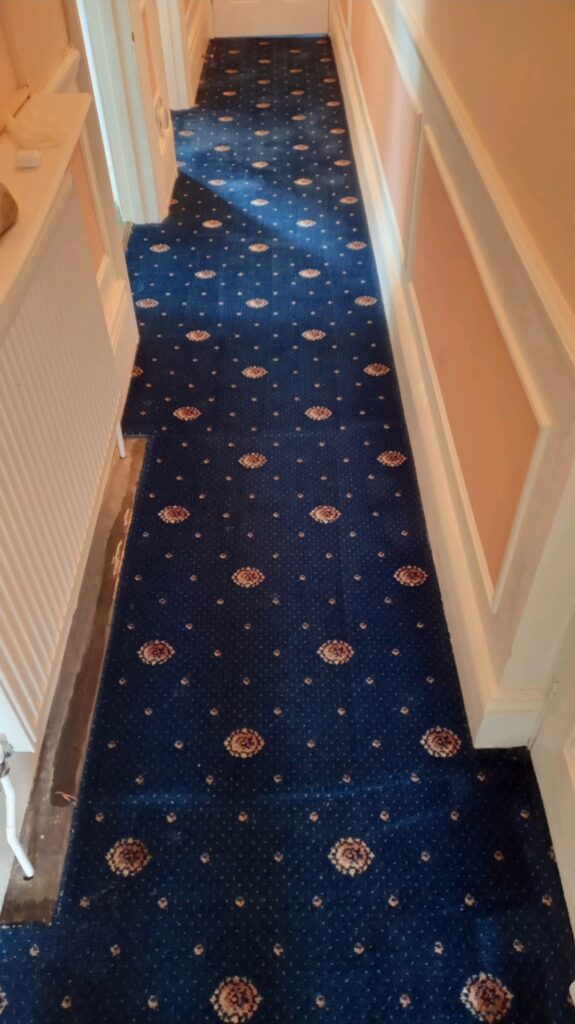 Carpet cleaning in Sidmouth, deep cleaned blue patterned corridor carpet
