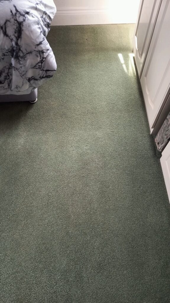 Carpet Maintenance in Charmouth