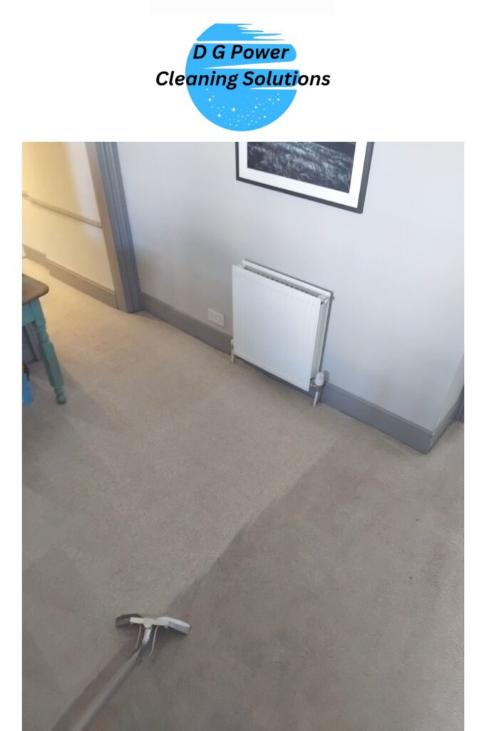 Carpet cleaning in progress in Weymouth, showing the cleaned strip next to the untreated carpet