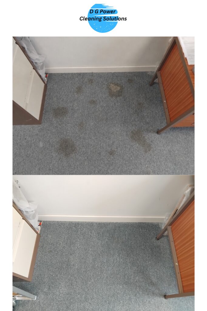 Office carpet cleaning in Bridport, carpet after a deep clean
