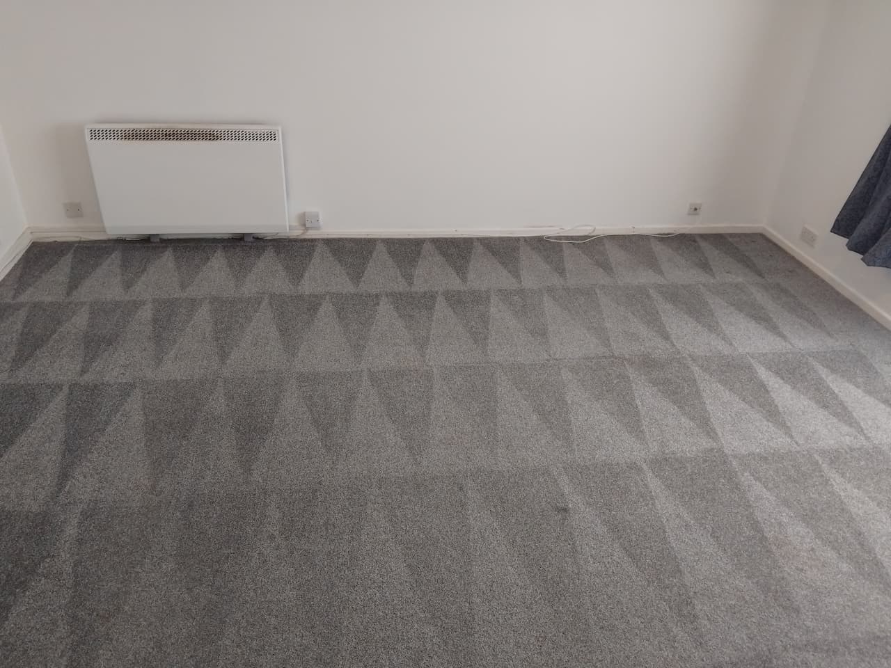Freshly cleaned carpet in a property in chard