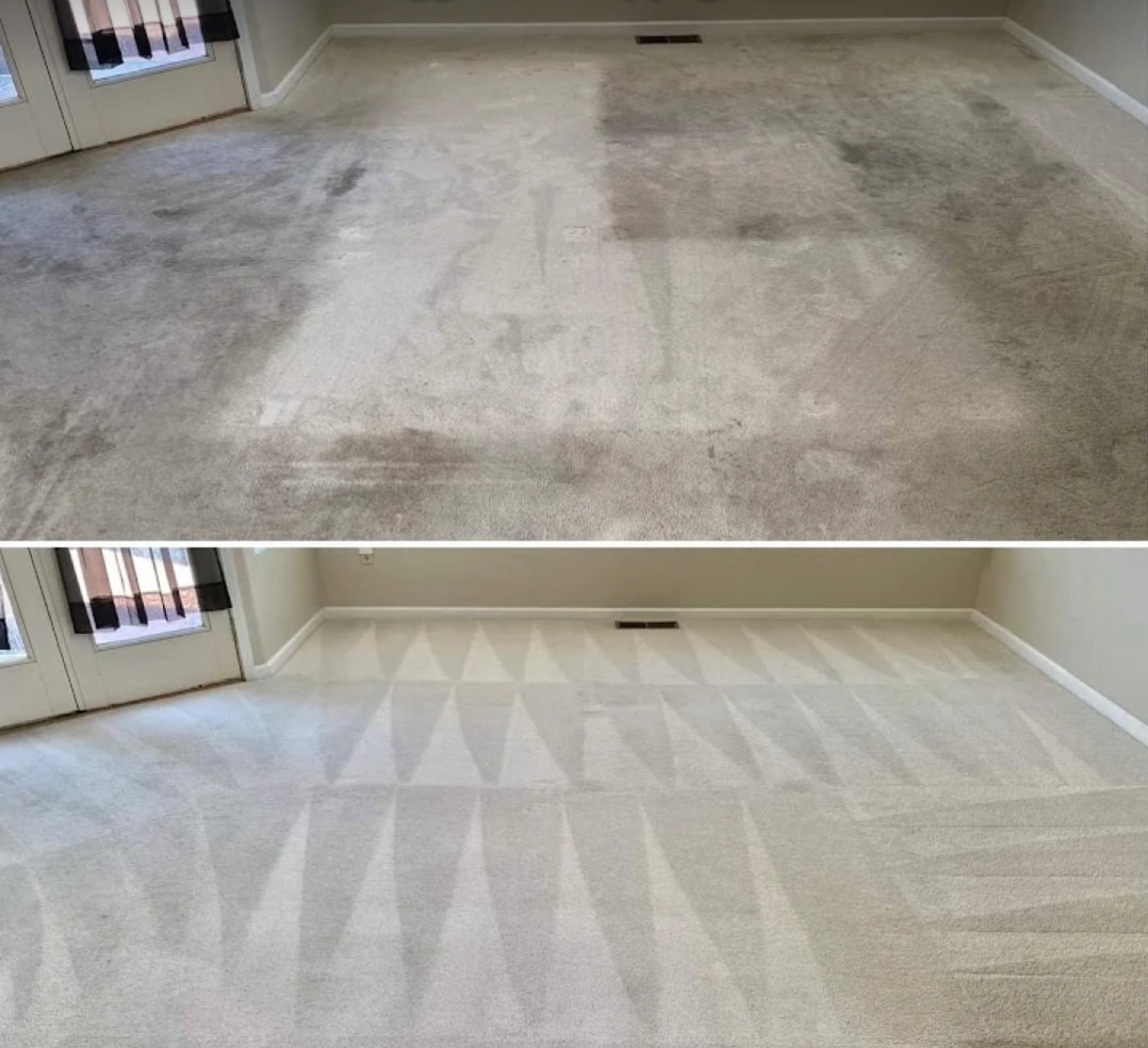 Carpet cleaners’ before and after result on a lounge carpet in Cranbrook, sofa outline removed