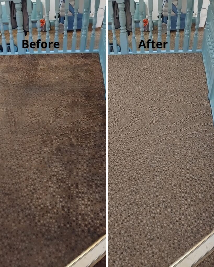 Carpet cleaners’ before and after result on a restaurant carpet beside the stair railings in Dorchester