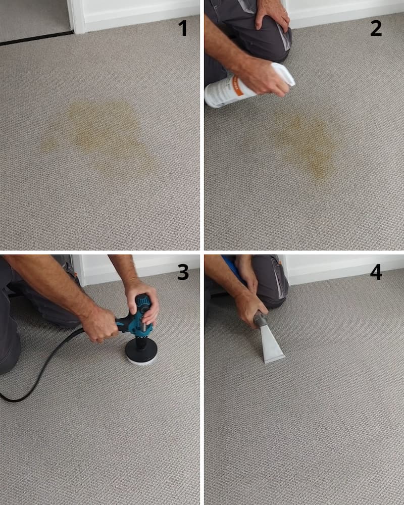 Pet stain and odour removal from carpets and upholstery