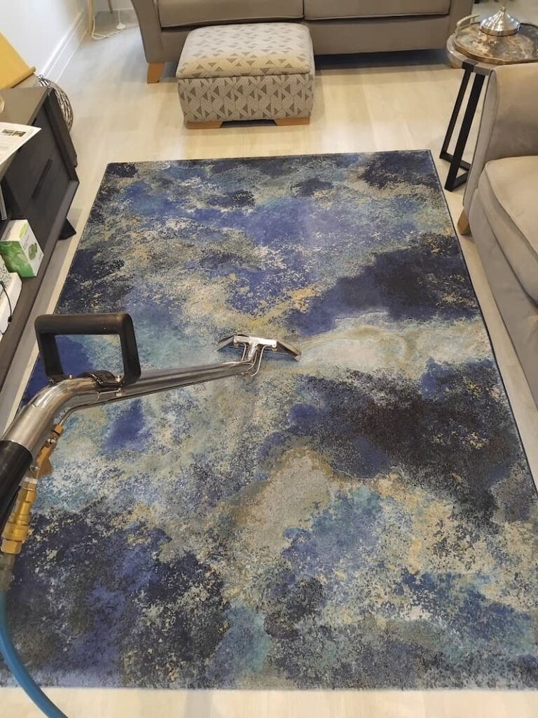 Rug Cleaning